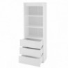 Elemento Prateleiras Office RS60