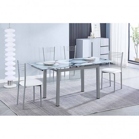 Pack Mesa Extensível Flores + 4 Cadeiras Modelo 20