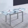 Pack Mesa Extensível Flores + 4 Cadeiras Modelo 20