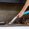 Aspirador de Cinzas Conga Ash 1000 Lite