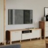 Base Tv Indygo