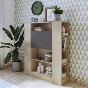 Elemento Prateleiras c/ Secretária Rebatível Donald