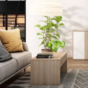 Mesa de Centro Elevatória Day