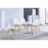 Pack Mesa de Jantar Retangular Dinamarca (Branco) + 4 Cadeiras Fina (Branco)