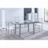 Pack Mesa Extensível Flores + 4 Cadeiras Modelo 20