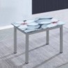 Pack Mesa Extensível Flores + 4 Cadeiras Modelo 20