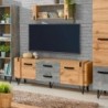 Base TV Lofter