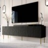 Base Tv Jungle