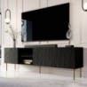 Base Tv Jungle