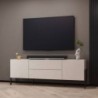 Base TV 2 Portas + 2 Gavetas Jukon