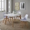Pack Mesa de Jantar Extensível + 4 Cadeiras de Sala Nordic