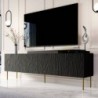 Base Tv Jungle