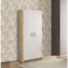 Roupeiro CHAMPION com 2 portas de bater (90x199,4x50)