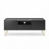 Base TV HARMONY com 2 portas (144x55x37)