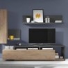 Base TV BOTA (219x52x45)