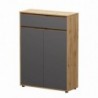 Cómoda NIKO com 2 portas e 1 gaveta (120x86x34)