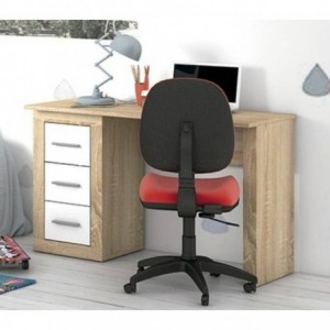 Secretária Juvenil Lara Secretária Juvenil Lara